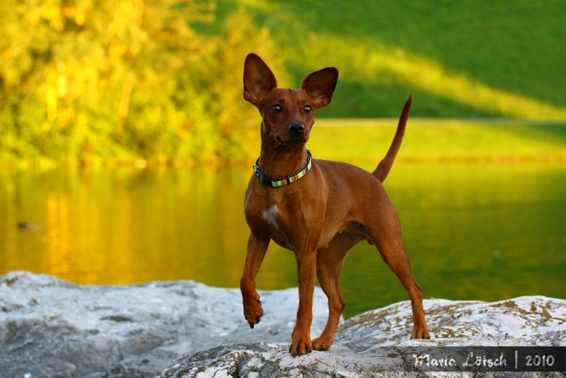 It's again amazing with Amie