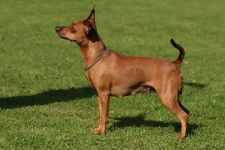 Anna vom Kösslbachtal