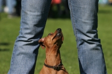 Lara vom Camp Achensee