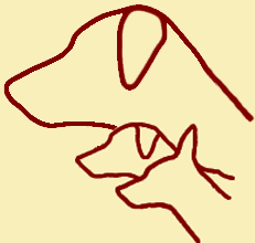 Dark Angels Uncle Sam