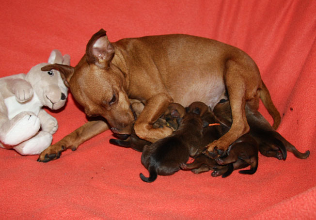 Anna und ihre Babies