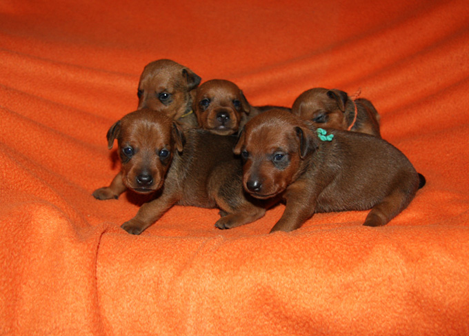 Anna und ihre Babies