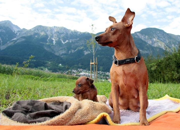 Anna und ihre Baby in den Bergen